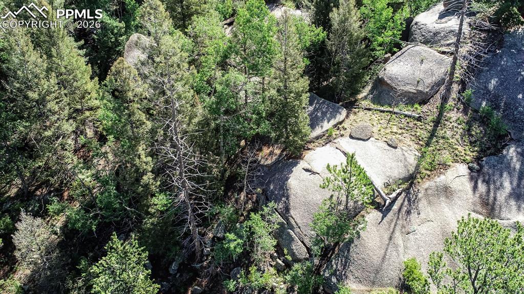 235 Hay Creek Road Florissant, CO 80816 - Photo 16 of 17 an aerial view of a house with a yard and plants
