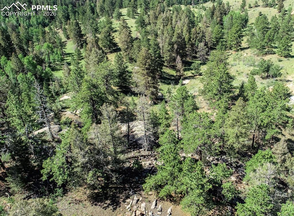 235 Hay Creek Road Florissant, CO 80816 - Photo 3 of 17 an aerial view of residential house with outdoor space and trees all around