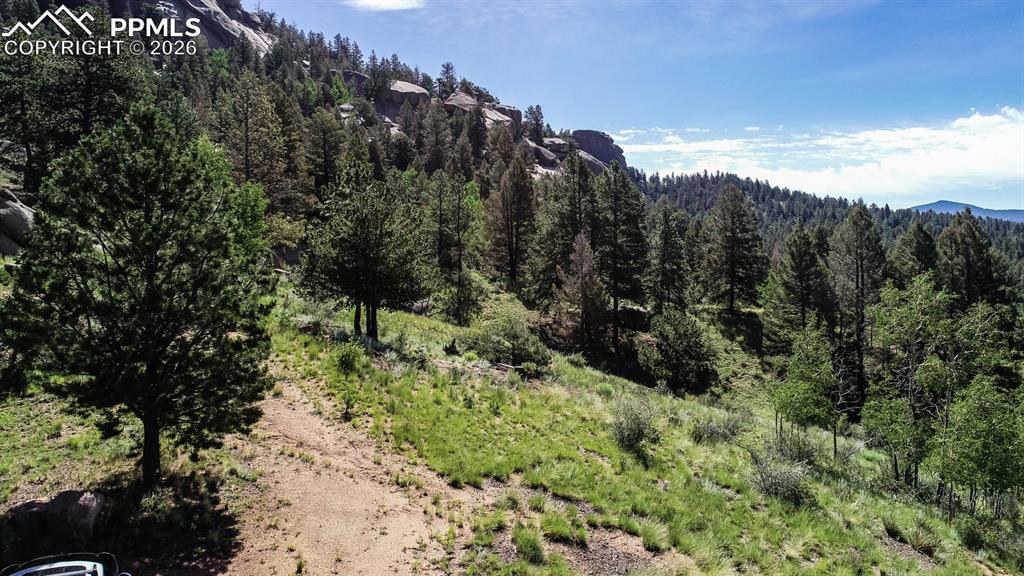 235 Hay Creek Road Florissant, CO 80816 - Photo 4 of 17 a view of a yard with plants and a bench