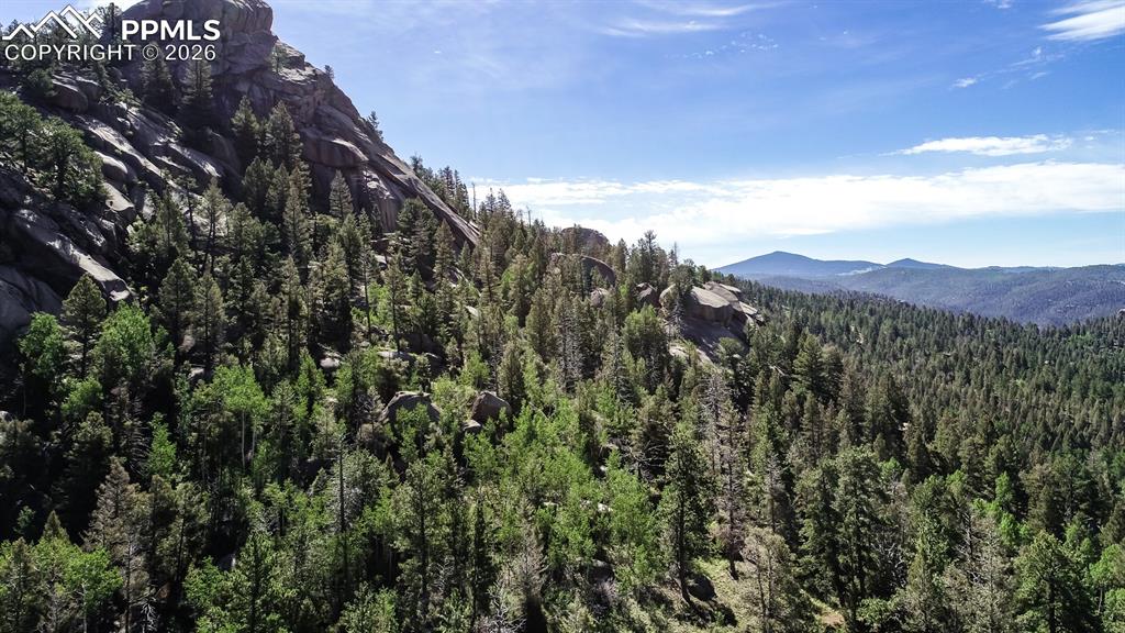 235 Hay Creek Road Florissant, CO 80816 - Photo 6 of 17 a view of a city with lush green forest