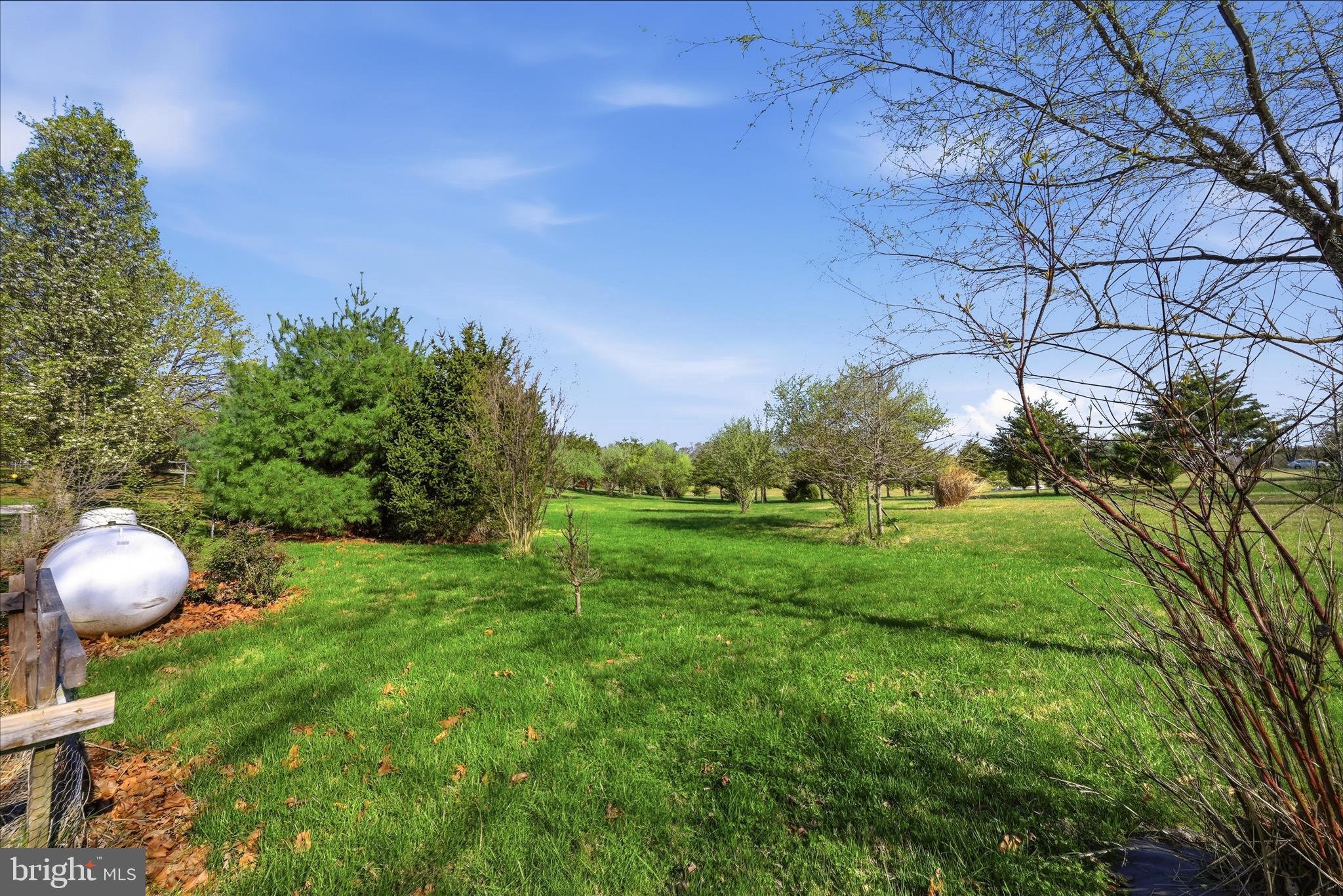 1239 Cedar Grove Road Winchester, VA 22603 - Photo 62 of 67 If it's space you want, its RIGHT HERE!