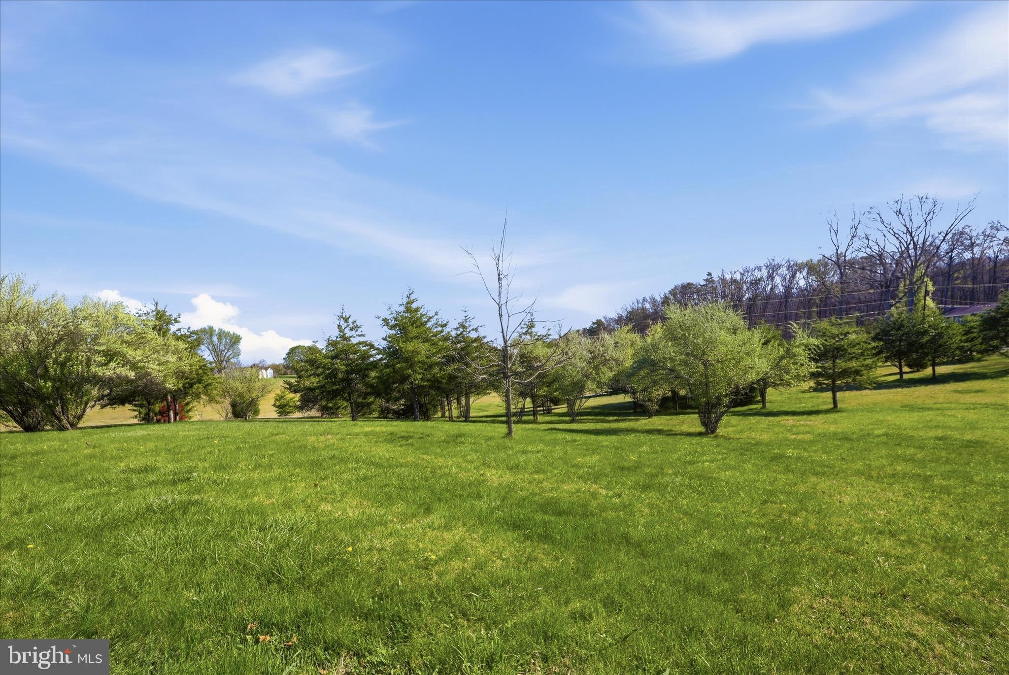 1239 Cedar Grove Road Winchester, VA 22603 - Photo 66 of 67 Come see all this property has to offer