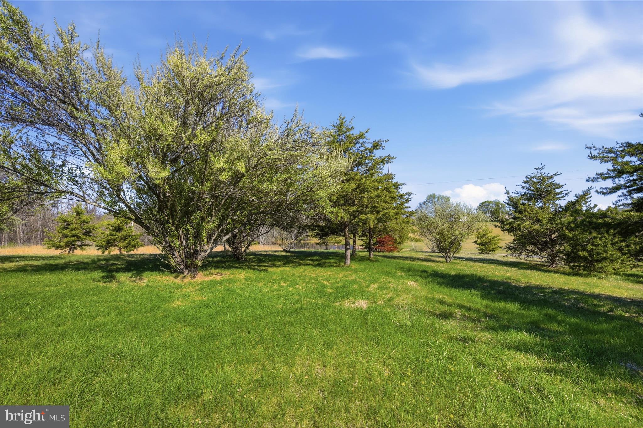 1239 Cedar Grove Road Winchester, VA 22603 - Photo 67 of 67 Over 3 acres and no HOA convenient to town.