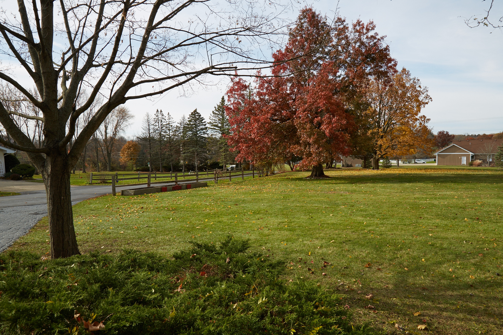 6N397 Corron Road St. Charles, IL 60175 - Photo 5 of 29 a view of outdoor space with deck and trees