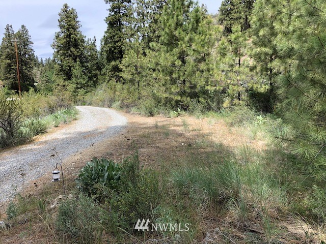 0 Cooper Gulch Road Manson, WA 98831 - Photo 11 of 18 Gallery Image 11