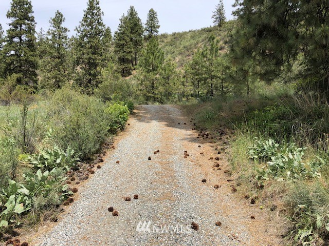 0 Cooper Gulch Road Manson, WA 98831 - Photo 12 of 18 Gallery Image 12