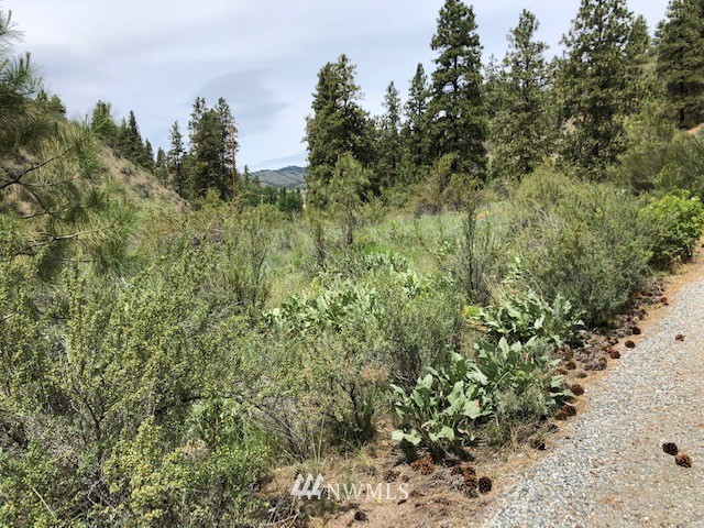 0 Cooper Gulch Road Manson, WA 98831 - Photo 13 of 18 Gallery Image 13