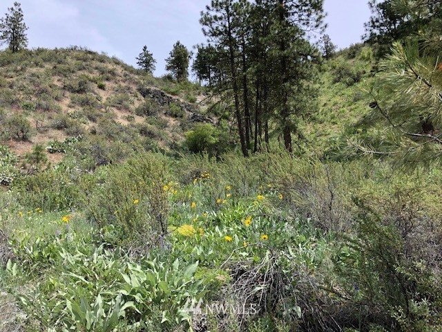 0 Cooper Gulch Road Manson, WA 98831 - Photo 14 of 18 Gallery Image 14