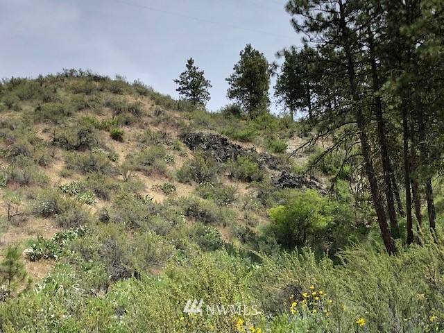 0 Cooper Gulch Road Manson, WA 98831 - Photo 15 of 18 Gallery Image 15