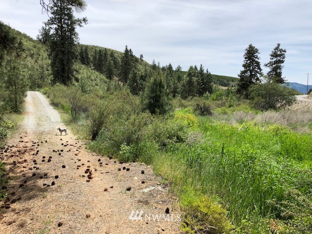 0 Cooper Gulch Road Manson, WA 98831 - Photo 3 of 18 Gallery Image 3
