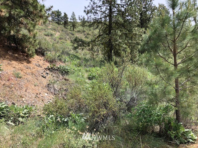 0 Cooper Gulch Road Manson, WA 98831 - Photo 4 of 18 Gallery Image 4