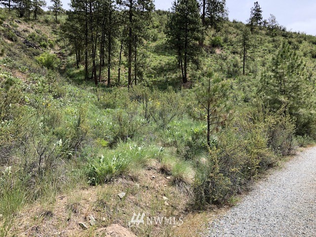 0 Cooper Gulch Road Manson, WA 98831 - Photo 5 of 18 Gallery Image 5