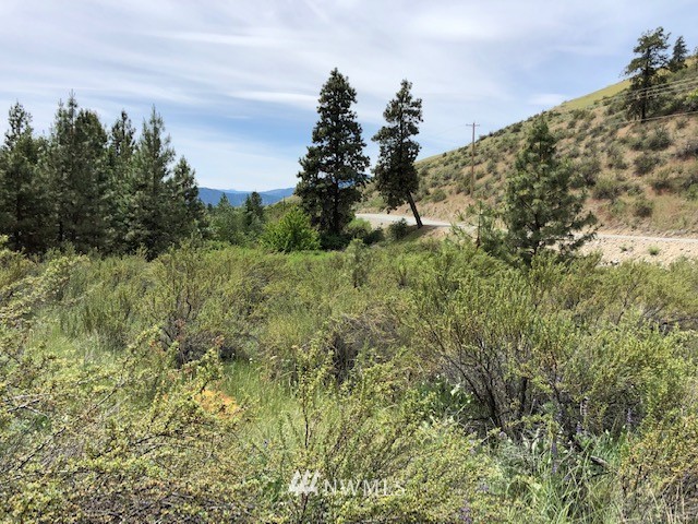 0 Cooper Gulch Road Manson, WA 98831 - Photo 6 of 18 Gallery Image 6