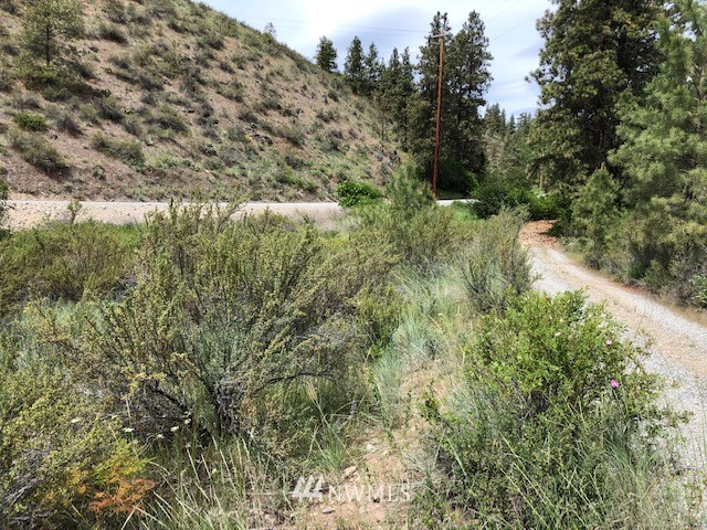 0 Cooper Gulch Road Manson, WA 98831 - Photo 7 of 18 Gallery Image 7
