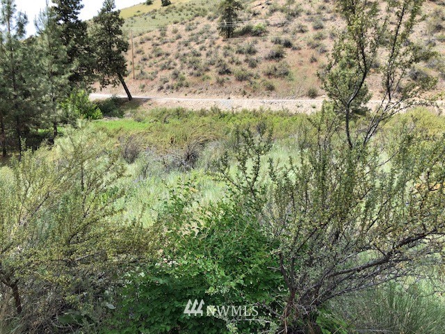 0 Cooper Gulch Road Manson, WA 98831 - Photo 8 of 18 Gallery Image 8