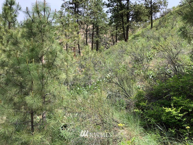 0 Cooper Gulch Road Manson, WA 98831 - Photo 10 of 18 Gallery Image 10