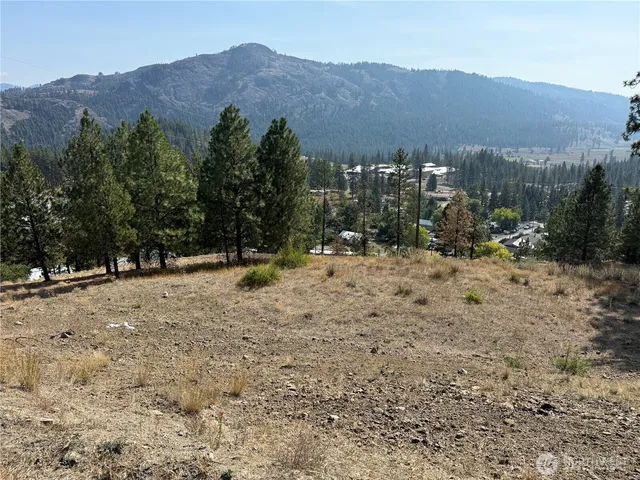 $25,000 | 794 South Jefferson Street, Republic, WA 99166