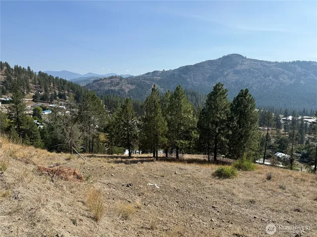 $25,000 | 794 South Jefferson Street, Republic, WA 99166