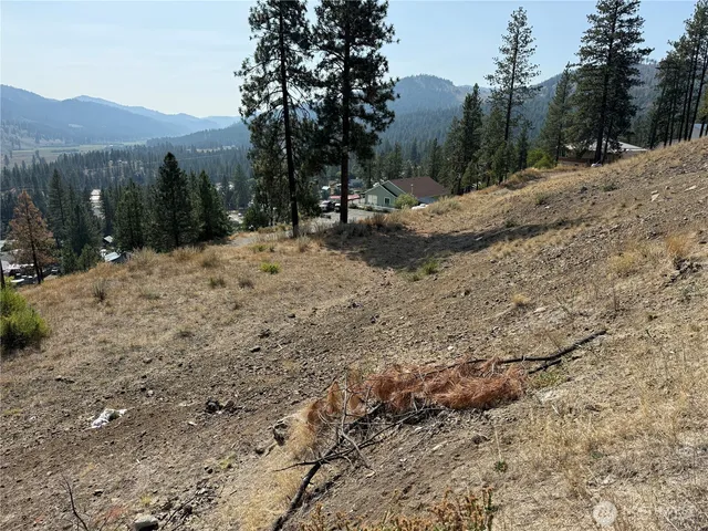 $25,000 | 794 South Jefferson Street, Republic, WA 99166