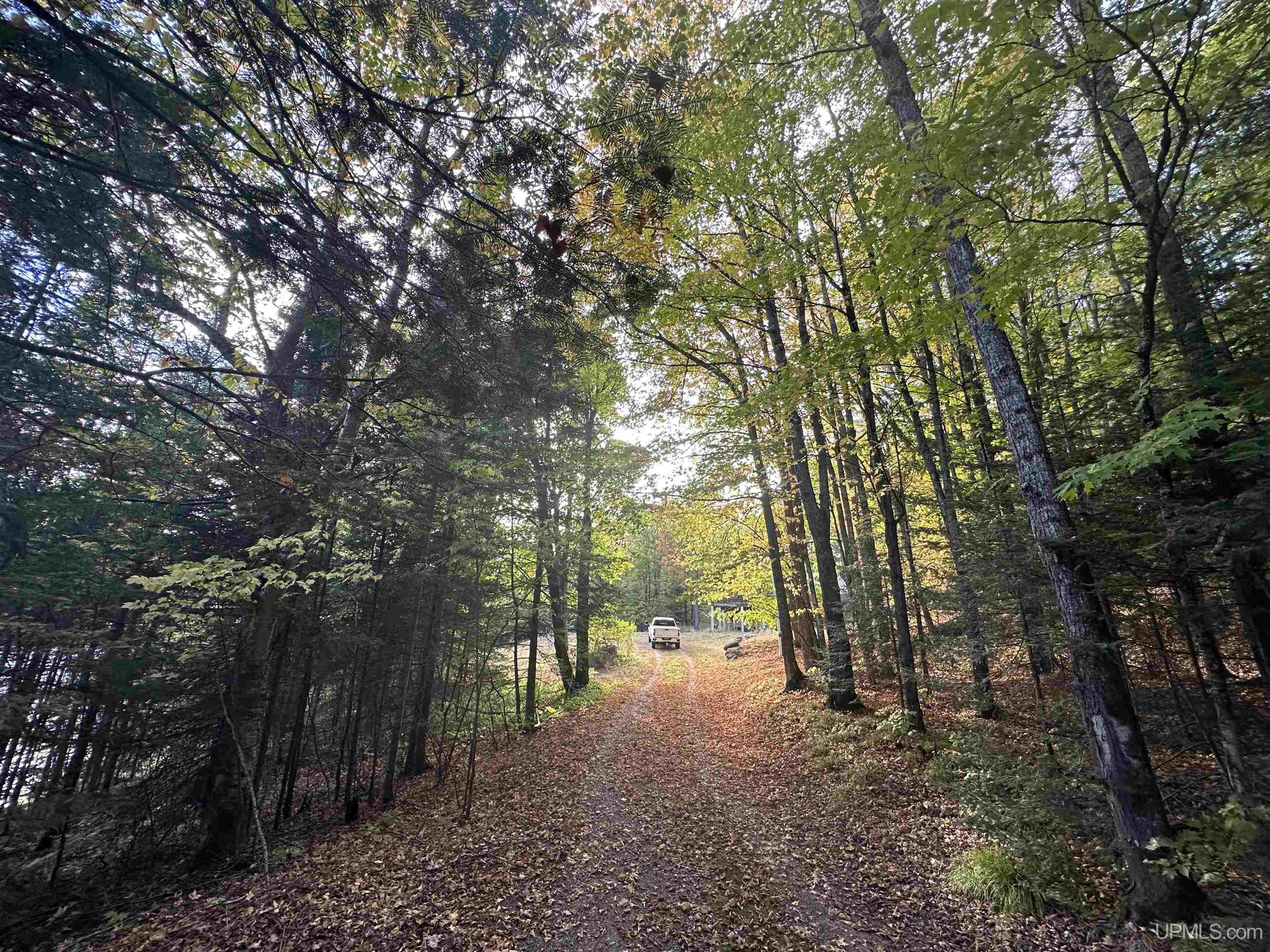 Tbd Haywire Lake Road Republic, MI 49879 - Photo 5 of 5