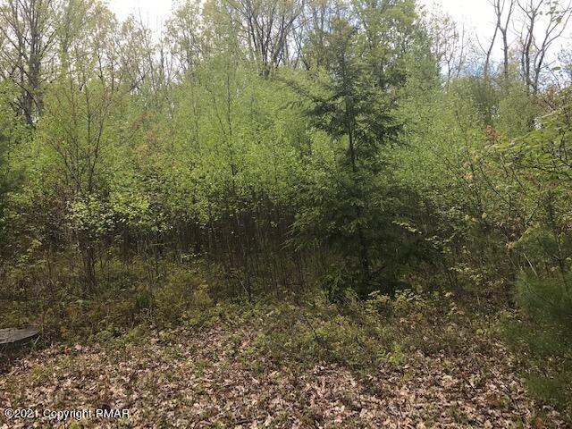 16 Sterner Run Road Kunkletown, PA 18058 - Photo 3 of 5 16 sterner pic 3