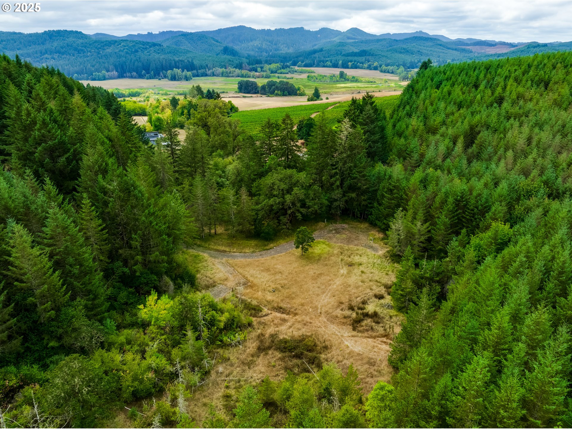 24247 Vaughn Road Veneta, OR 97487 - Photo 48 of 48