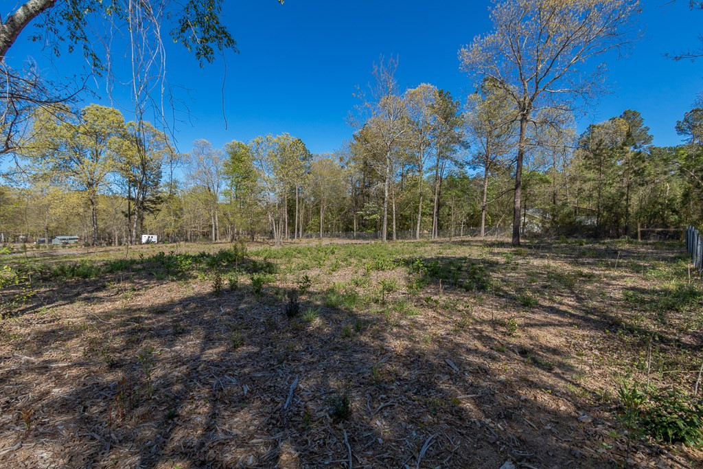 4834 Franklin Covenant Road Hephzibah, GA 30815 - Photo 35 of 42 Gallery Image 35