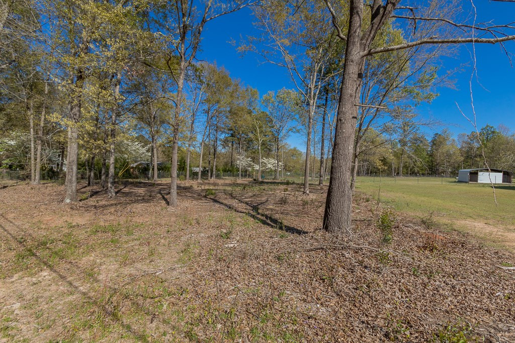 4834 Franklin Covenant Road Hephzibah, GA 30815 - Photo 36 of 42 Gallery Image 36