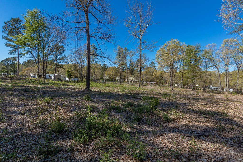4834 Franklin Covenant Road Hephzibah, GA 30815 - Photo 37 of 42 Gallery Image 37