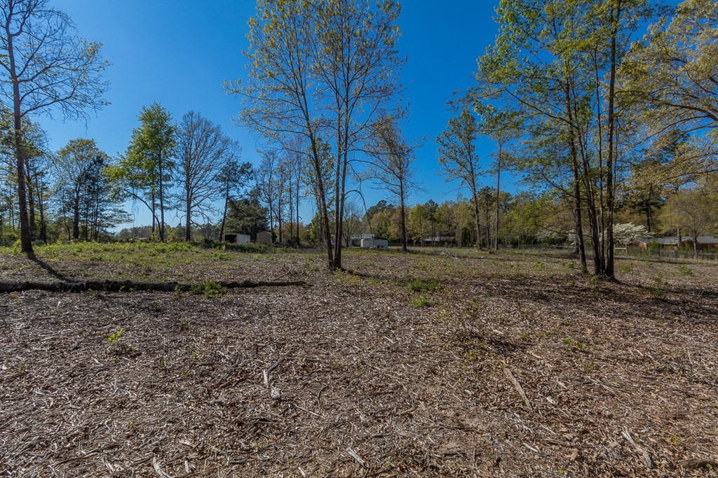 4834 Franklin Covenant Road Hephzibah, GA 30815 - Photo 38 of 42 Gallery Image 38