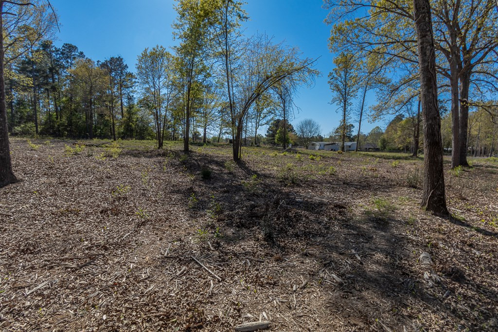 4834 Franklin Covenant Road Hephzibah, GA 30815 - Photo 39 of 42 Gallery Image 39