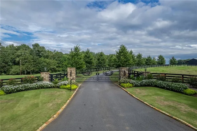 a view of a garden with lawn chairs