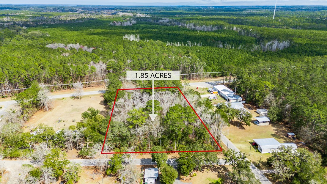 1.85-acres Williamson Rd N Road East Townsend, GA 31331 - Photo 11 of 13