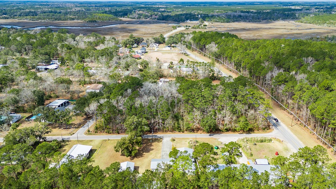 1.85-acres Williamson Rd N Road East Townsend, GA 31331 - Photo 12 of 13