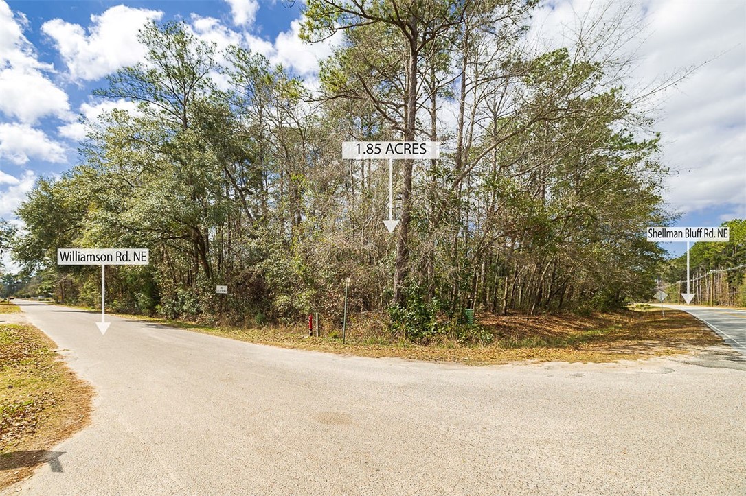 1.85-acres Williamson Rd N Road East Townsend, GA 31331 - Photo 2 of 13