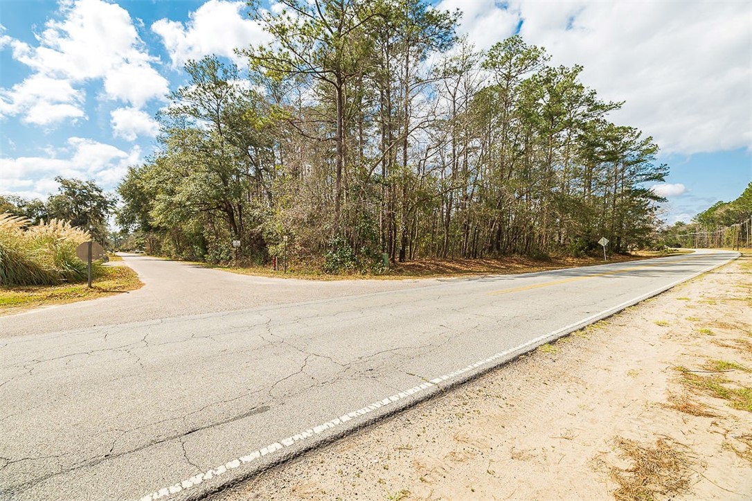 1.85-acres Williamson Rd N Road East Townsend, GA 31331 - Photo 4 of 13