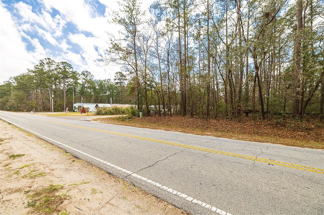 1.85-acres Williamson Rd N Road East Townsend, GA 31331 - Photo 5 of 13