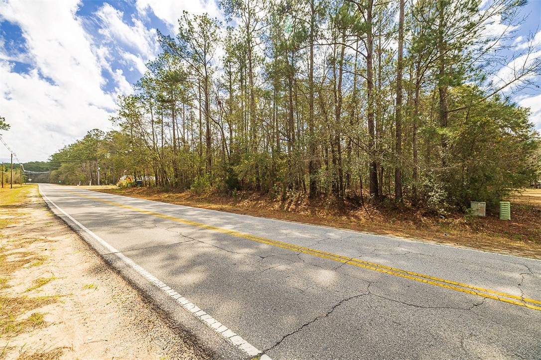 1.85-acres Williamson Rd N Road East Townsend, GA 31331 - Photo 6 of 13