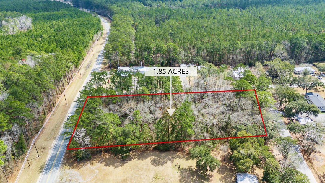 1.85-acres Williamson Rd N Road East Townsend, GA 31331 - Photo 7 of 13