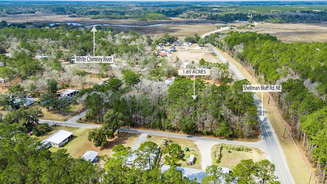 1.85-acres Williamson Rd N Road East Townsend, GA 31331 - Photo 8 of 13