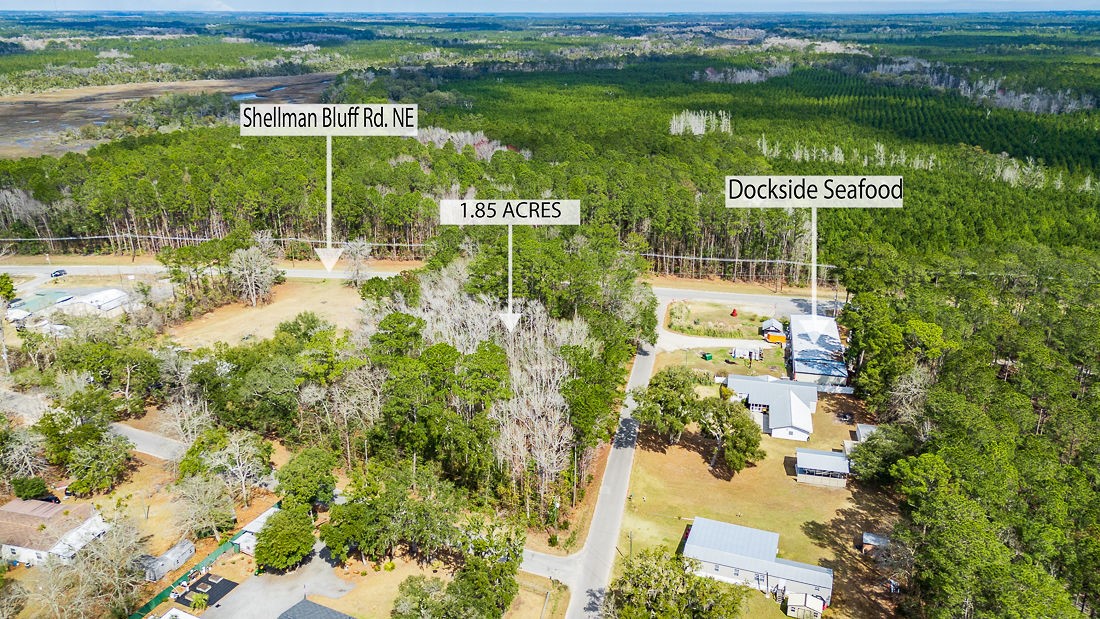 1.85-acres Williamson Rd N Road East Townsend, GA 31331 - Photo 9 of 13