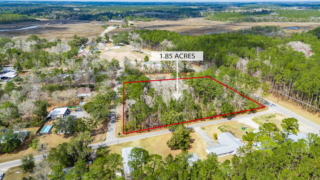 1.85-acres Williamson Rd N Road East Townsend, GA 31331 - Photo 10 of 13