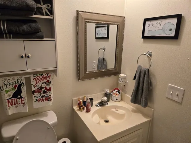 a bathroom with a sink mirror and toilet