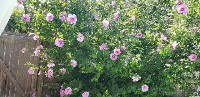 $699,000 | 4709 Carmel Place, Lawrence, KS 66047