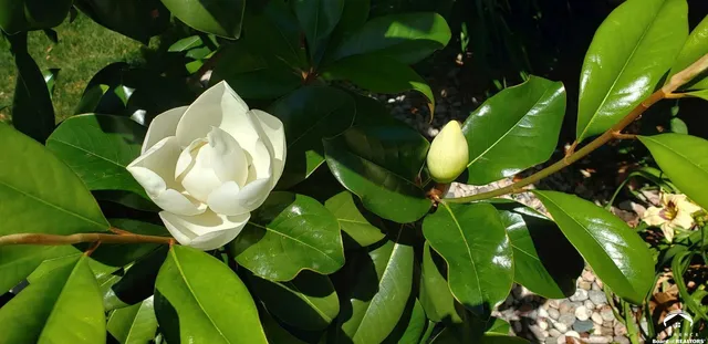 $699,000 | 4709 Carmel Place, Lawrence, KS 66047