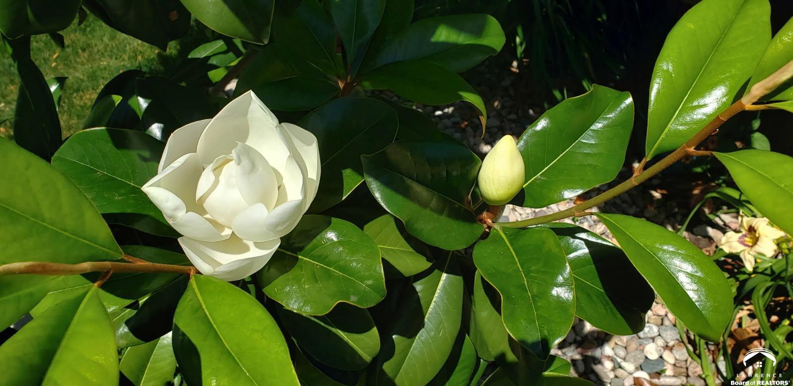 4709 Carmel Place Lawrence, KS 66047 - Photo 68 of 86