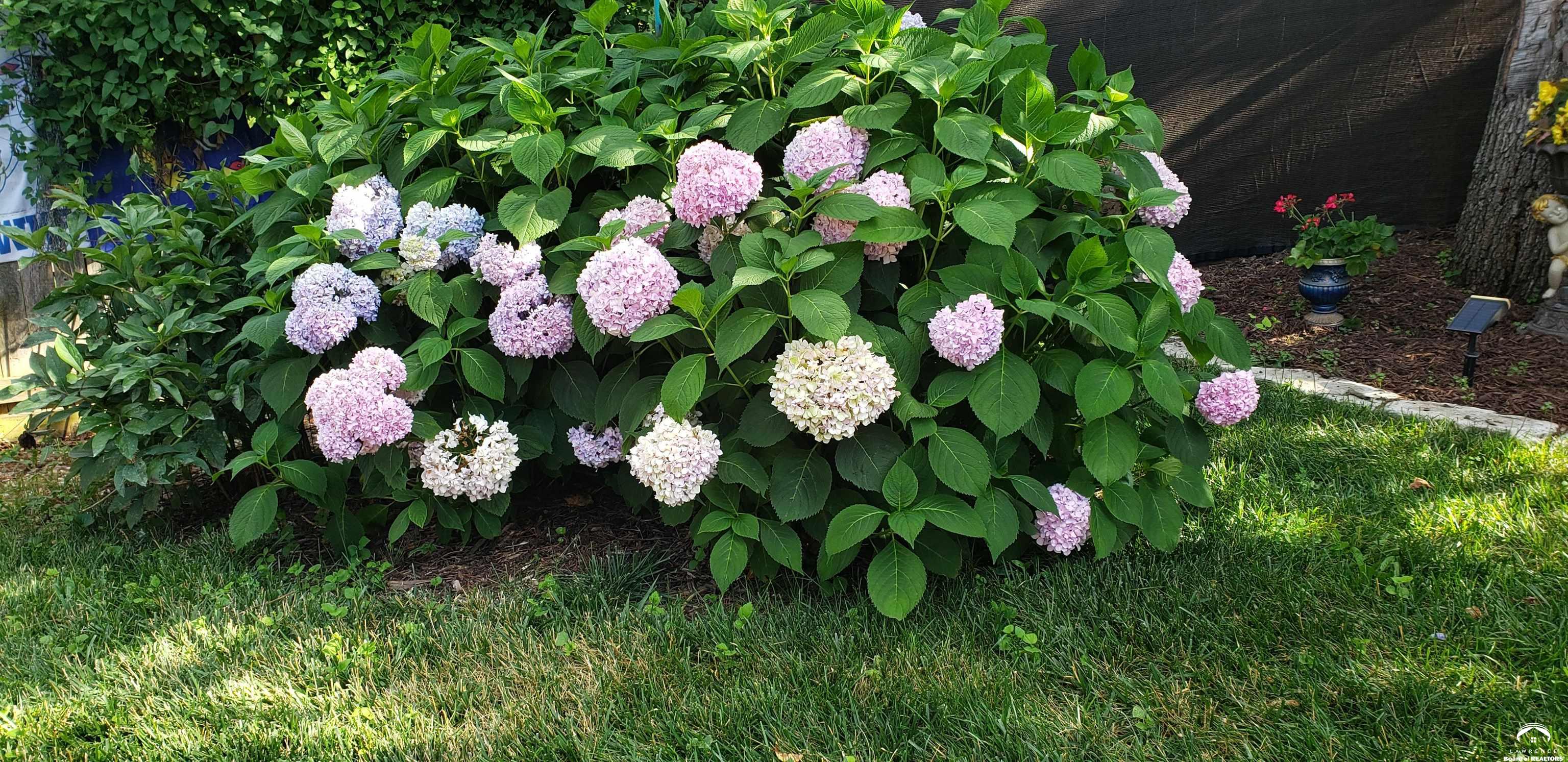 4709 Carmel Place Lawrence, KS 66047 - Photo 70 of 86