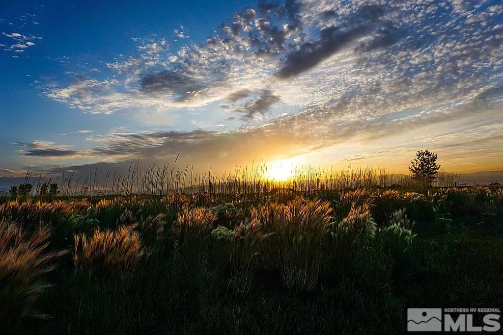 500 Two Ranch Road Genoa, NV 89411 - Photo 9 of 9 a view of a bunch of trees and bushes