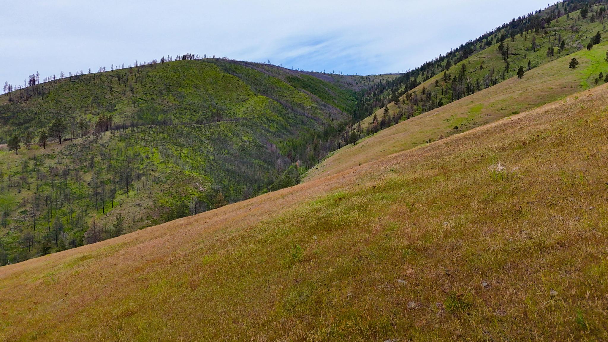 407 McLaughlin Creek Road Plains, MT 59859 - Photo 45 of 51 Gallery Image 45