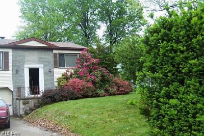 4129 Shelby Road Youngstown, OH 44511 - Photo 1 of 1